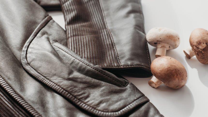 What is vegan leather, and how is it different from traditional leather?